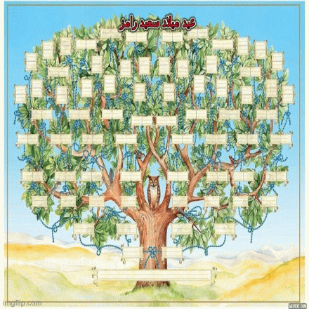 ��� ����� ���� | ��� ������ ������ 