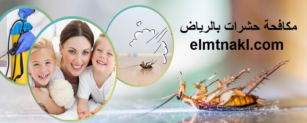 افضل شركة رش مبيدات بالرياض