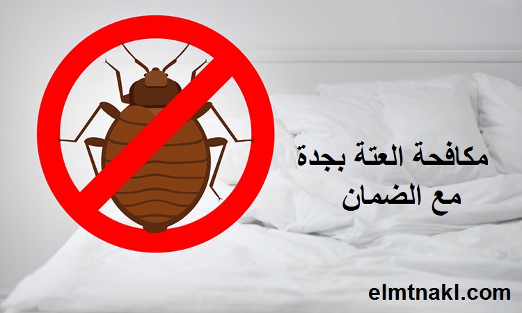 أفضل شركة مكافحة العته بجده
