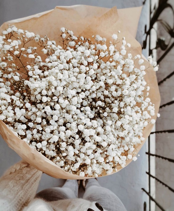 ���� ���� ������ �� ���� ������