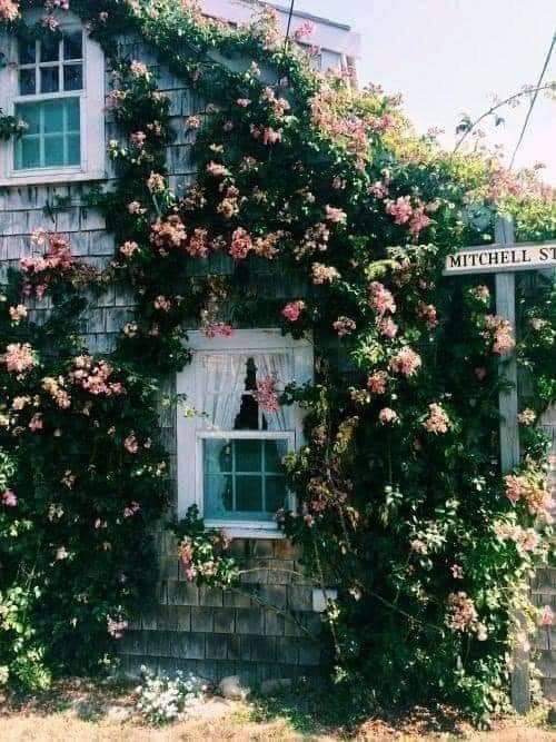 ���� ���� ������ �� ���� ������