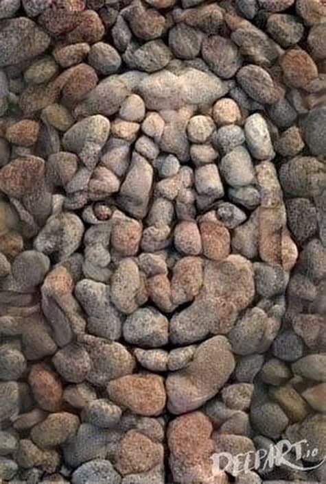 ���� ���� ������ �� ���� ������