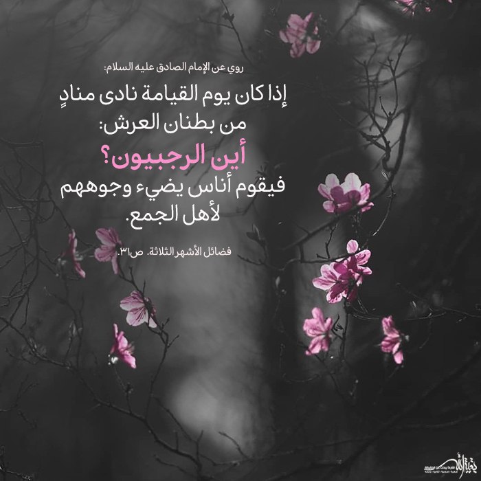 p_1516qtedo1.jpg