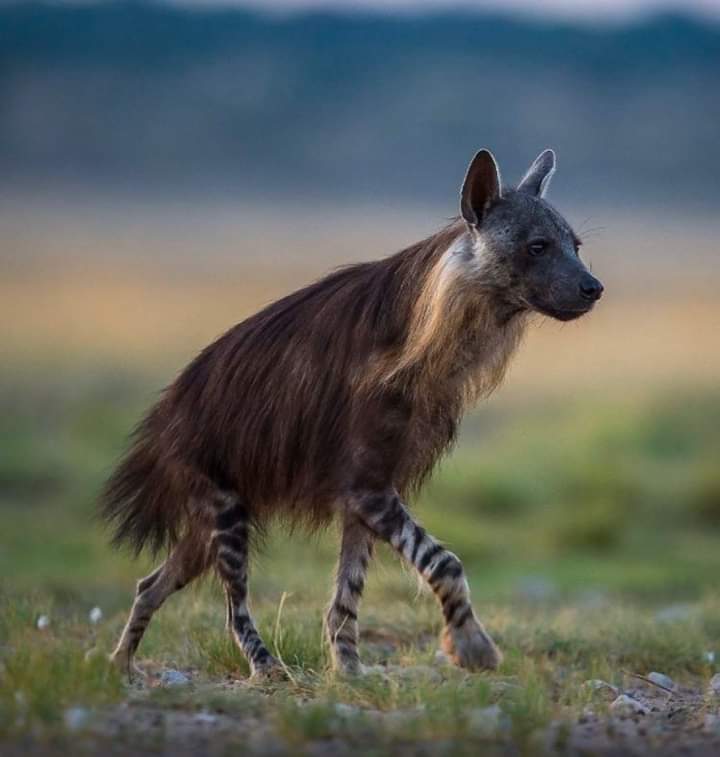 ���� ���� ������ �� ���� ������