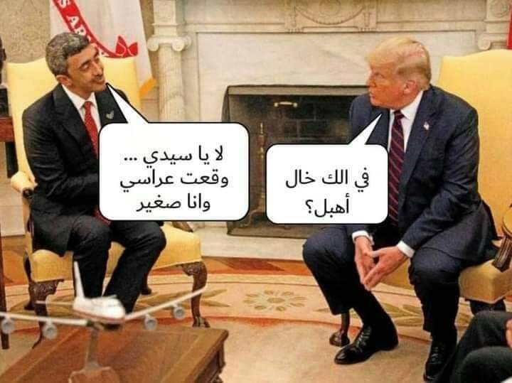 ���� ���� ������ �� ���� ������