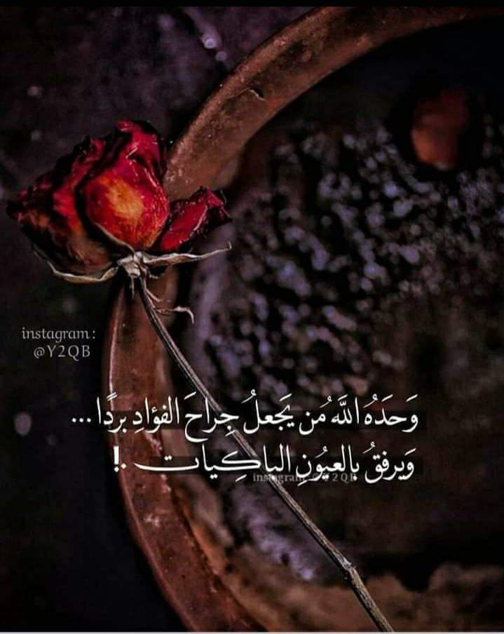 ���� ���� ������ �� ���� ������