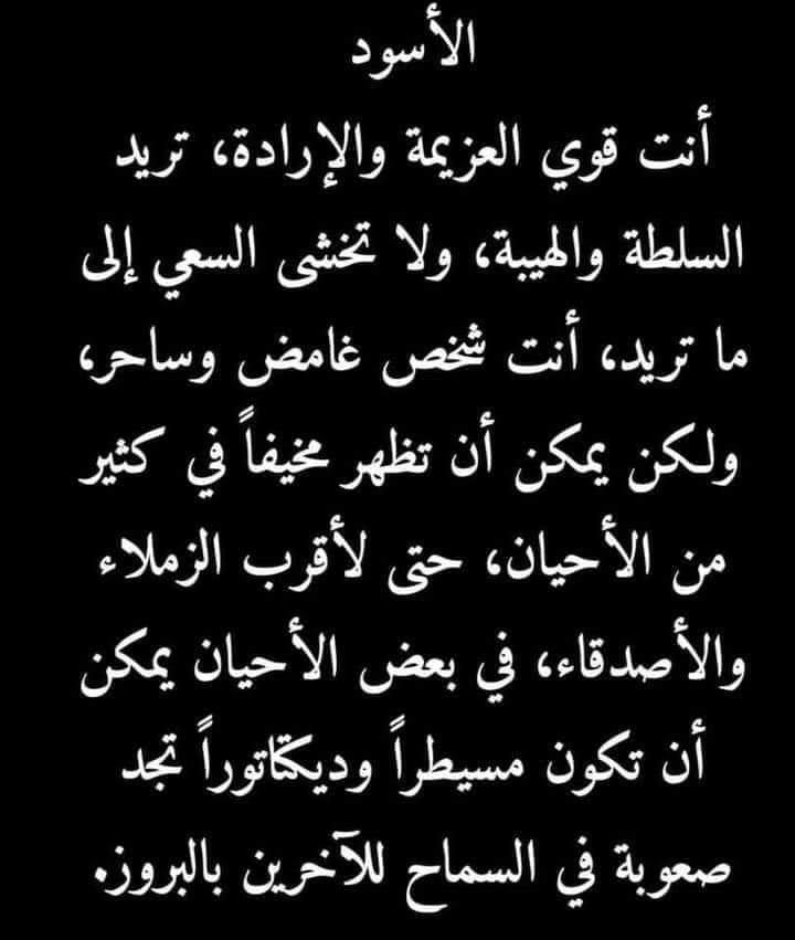 ���� ���� ������ �� ���� ������