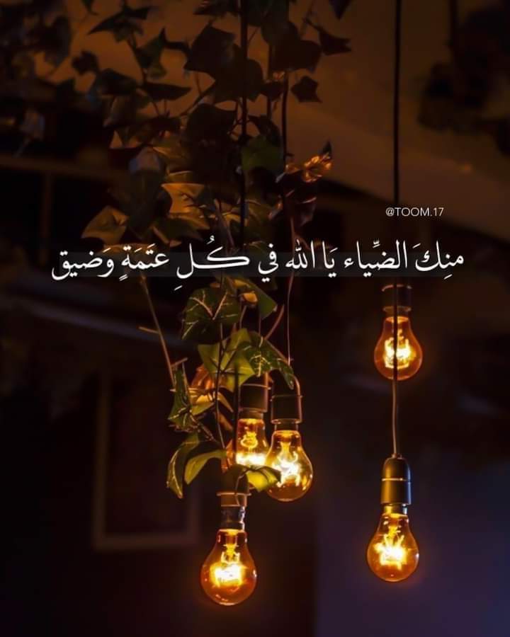 ���� ���� ������ �� ���� ������