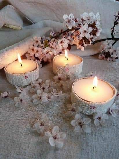 ���� ���� ������ �� ���� ������