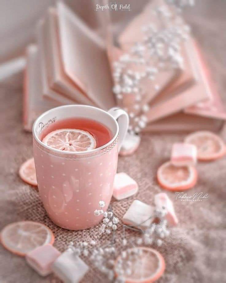 ���� ���� ������ �� ���� ������