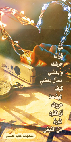 ���� ���� ������ �� ���� ������