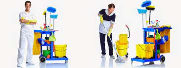 تنظيف المنزل: نصائح من المحترفين P_1889g2f691