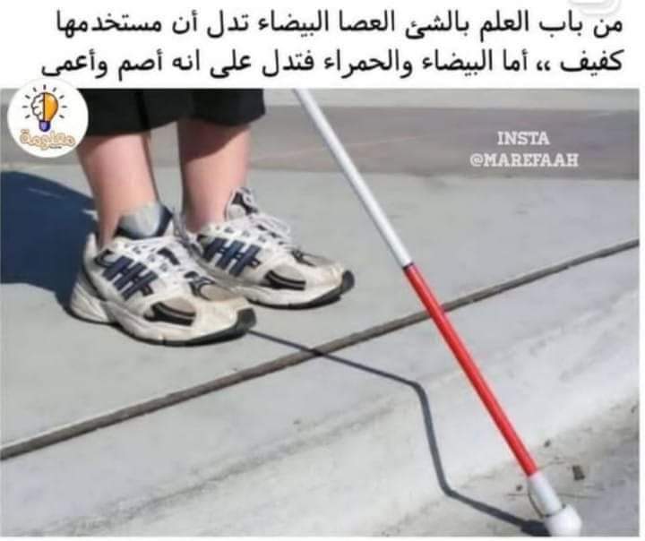 ���� ���� ������ �� ���� ������