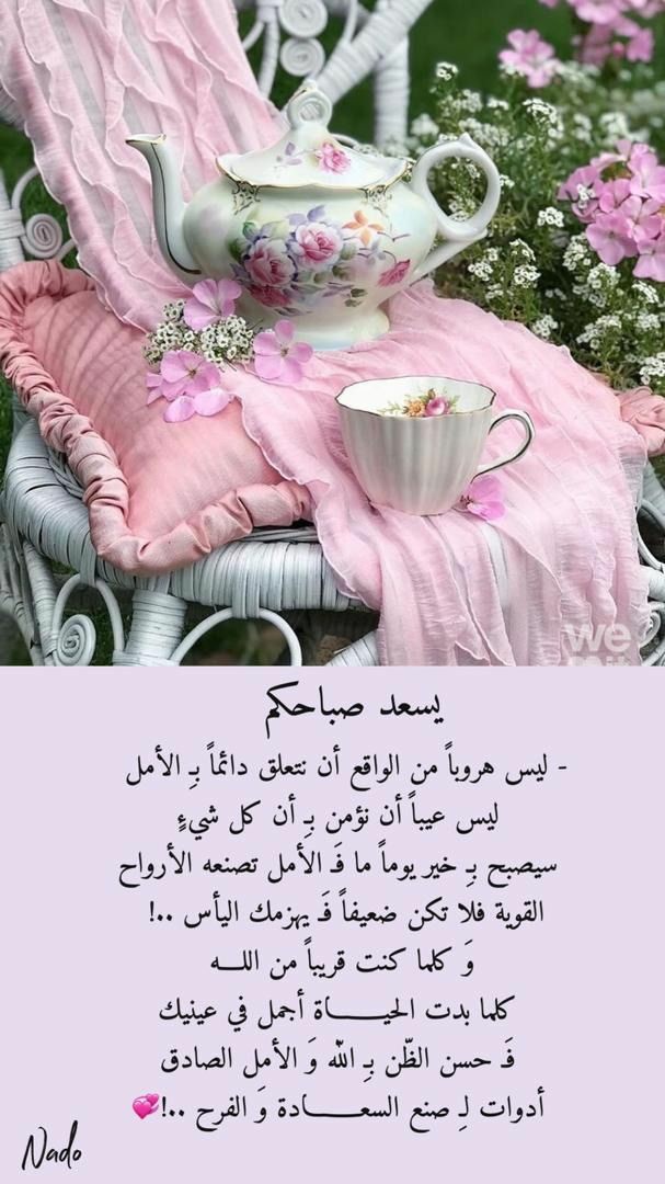 ���� ���� ������ �� ���� ������