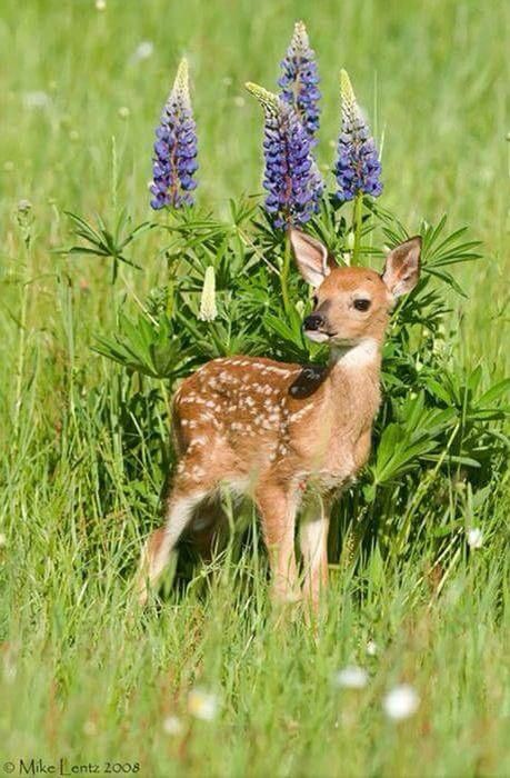 ���� ���� ������ �� ���� ������