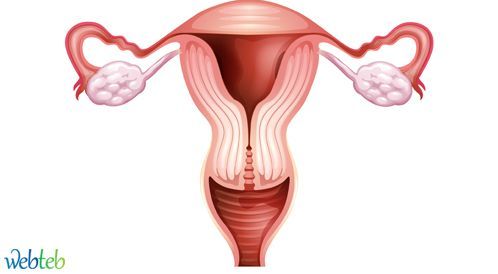  اورام الرحم  Uterine myoma P_2026txeeo1