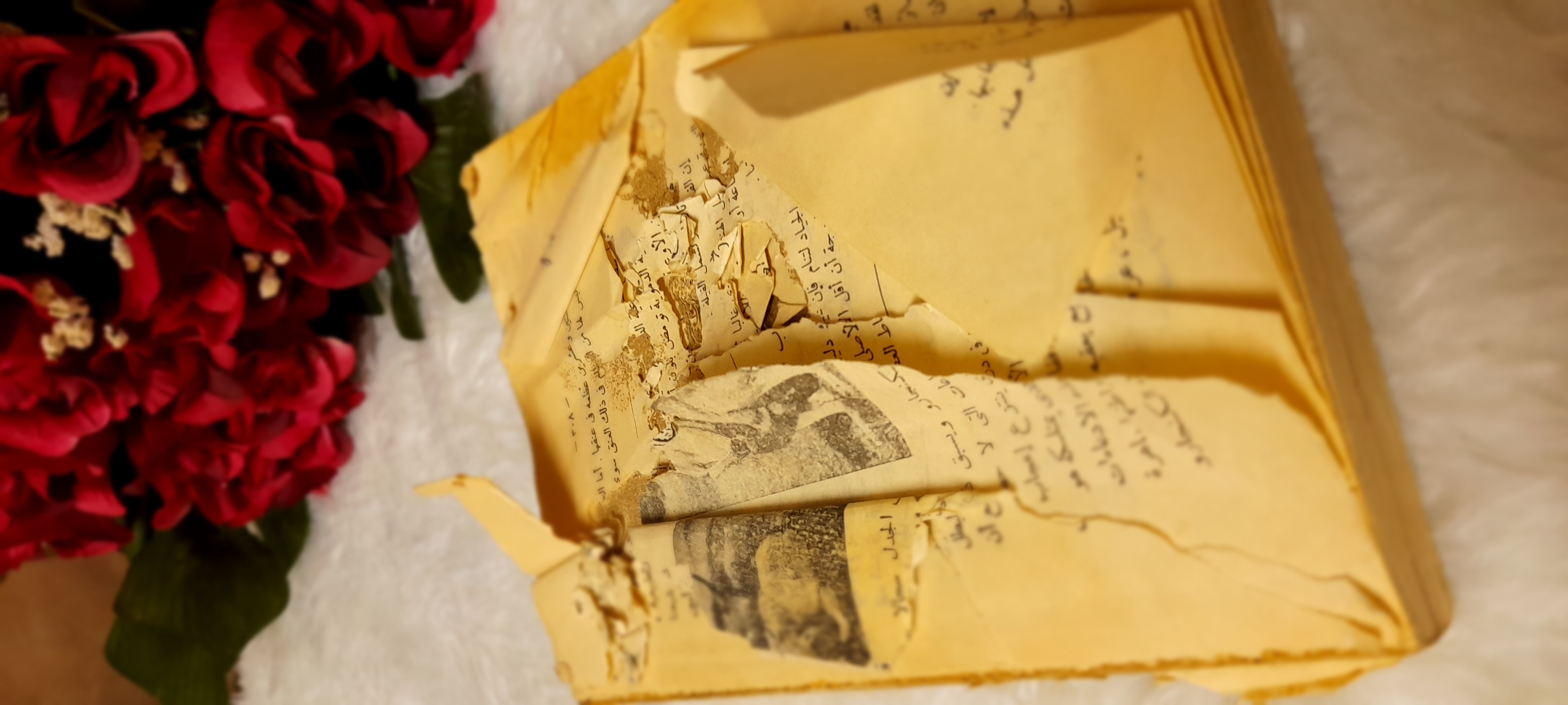 ���� ���� ������ �� ���� ������