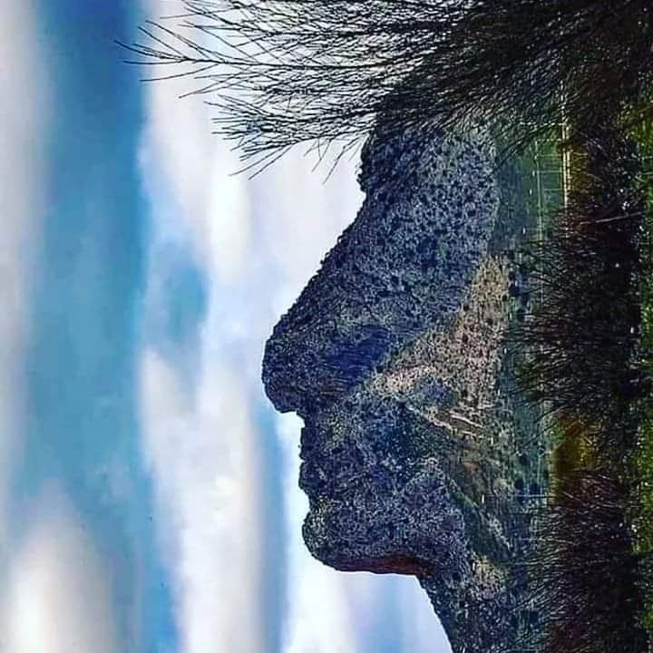 ���� ���� ������ �� ���� ������