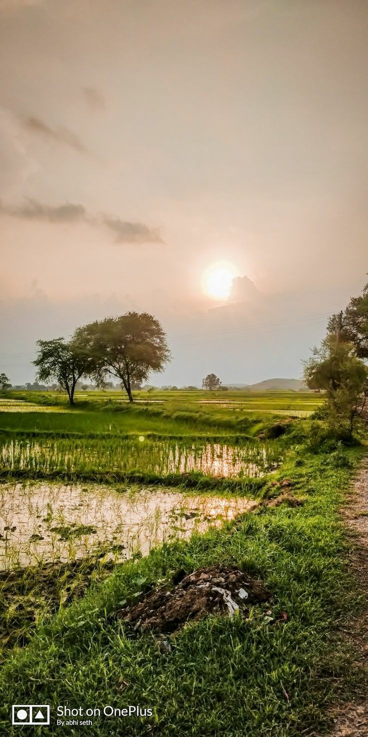 ���� ���� ������ �� ���� ������