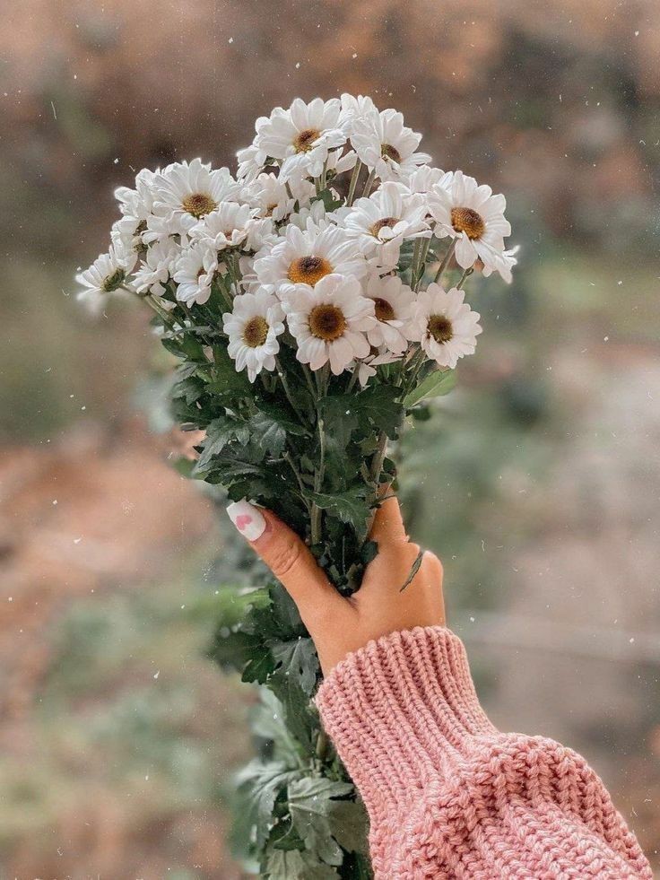 ���� ���� ������ �� ���� ������