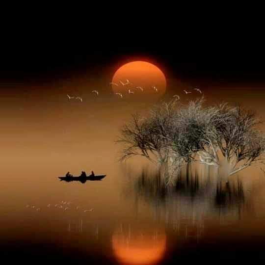 ���� ���� ������ �� ���� ������