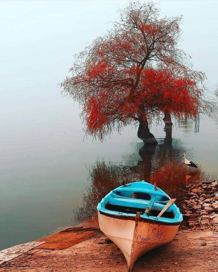 ���� ���� ������ �� ���� ������