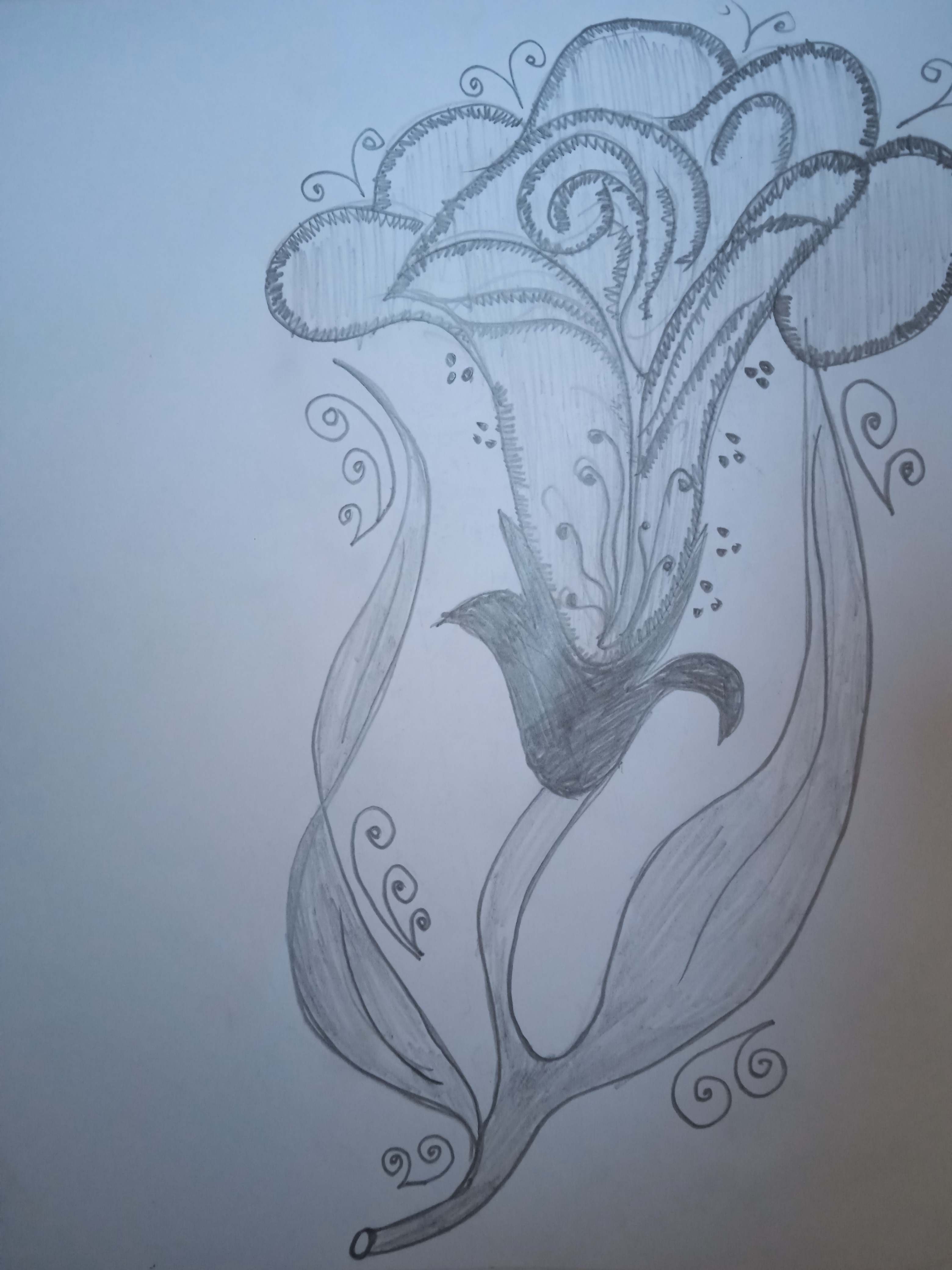 ���� ���� ������ �� ���� ������