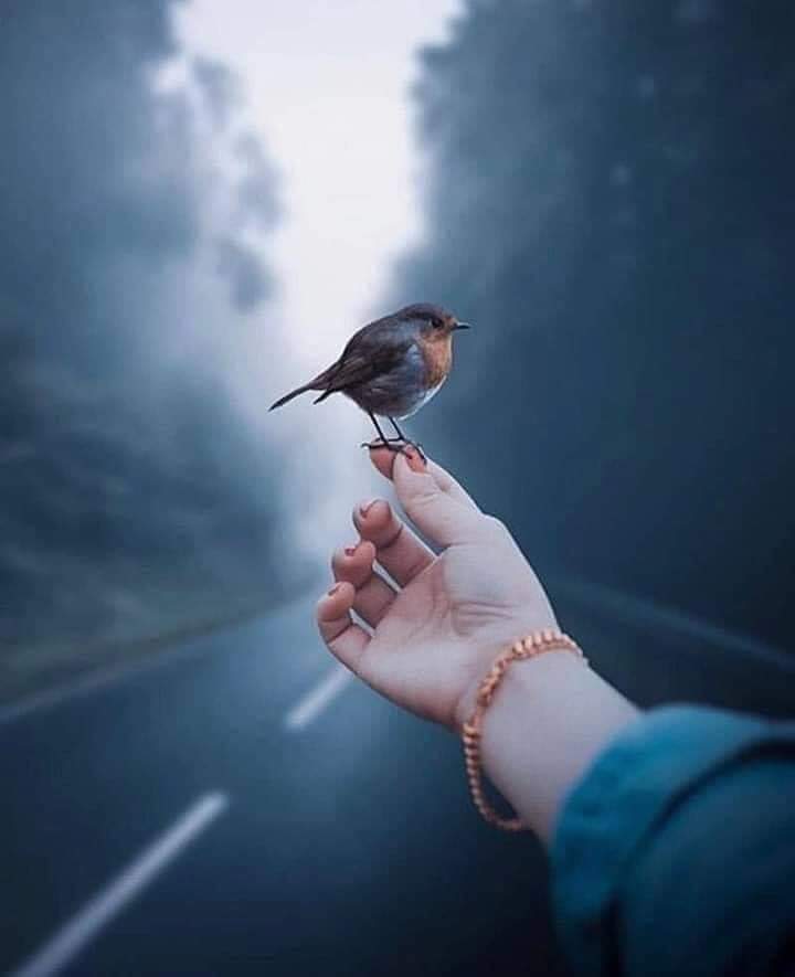 ���� ���� ������ �� ���� ������