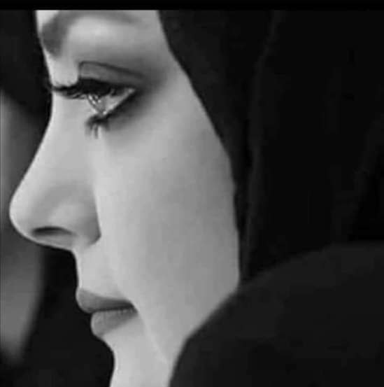 ���� ���� ������ �� ���� ������