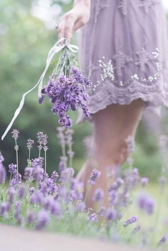 ���� ���� ������ �� ���� ������