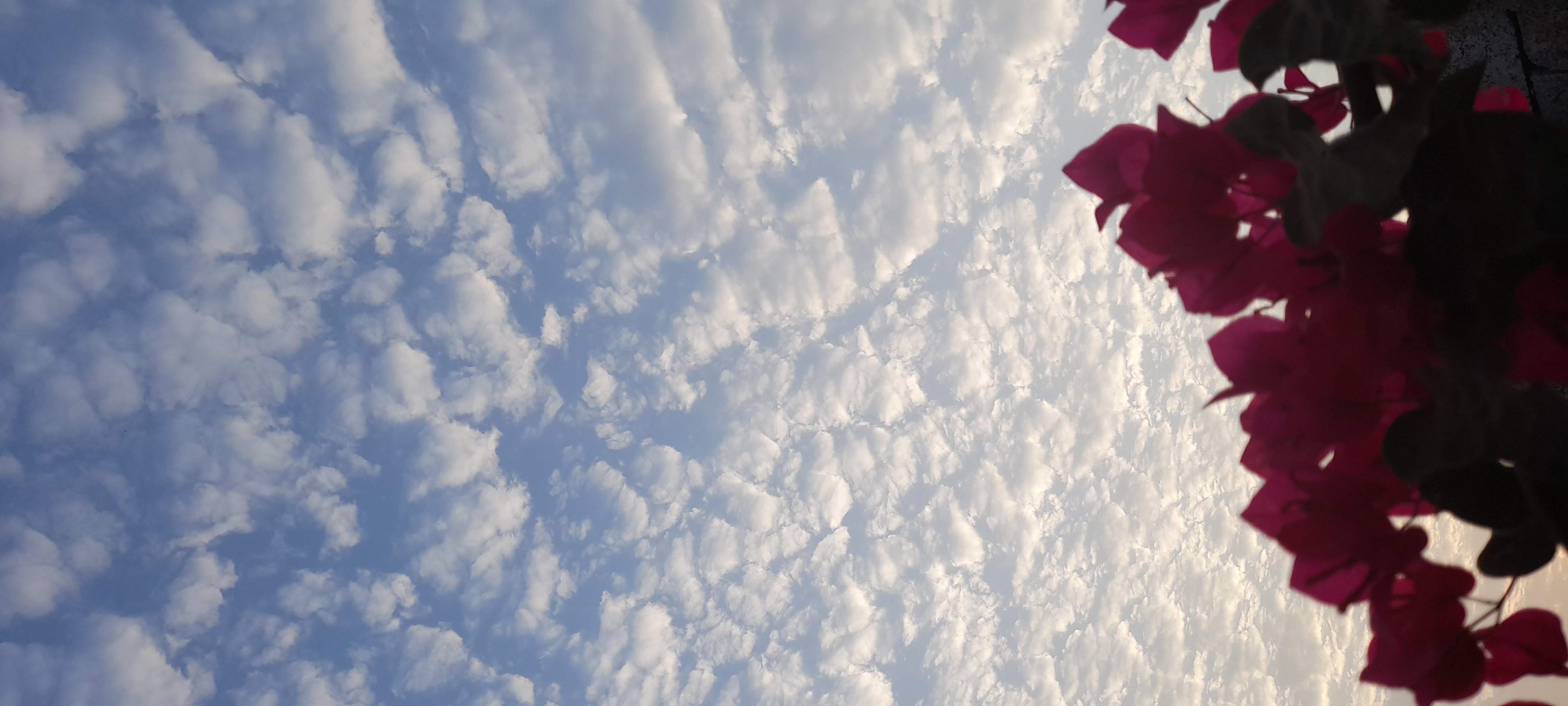 ���� ���� ������ �� ���� ������