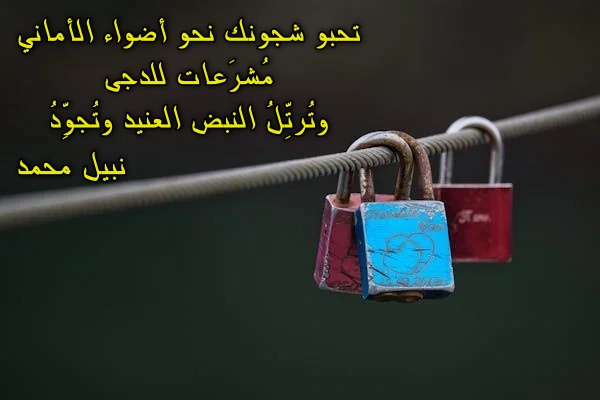 ����� �������