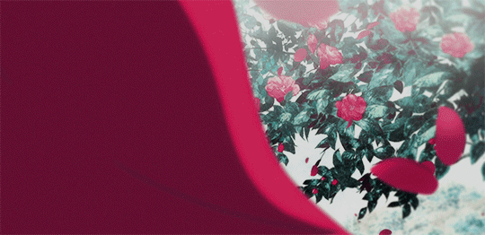 p_3407uxkgf0.gif