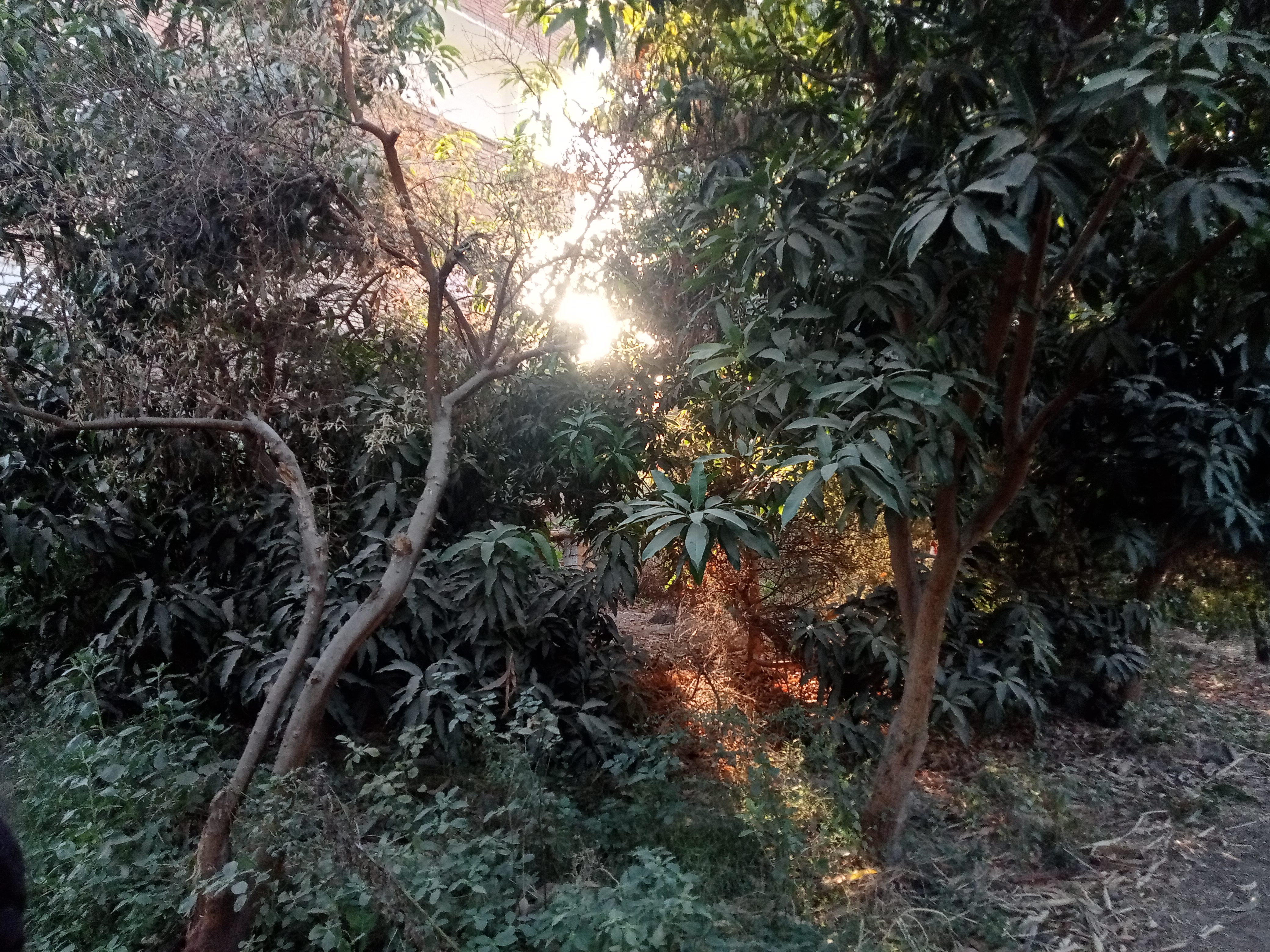 p_3473psooi6.jpg