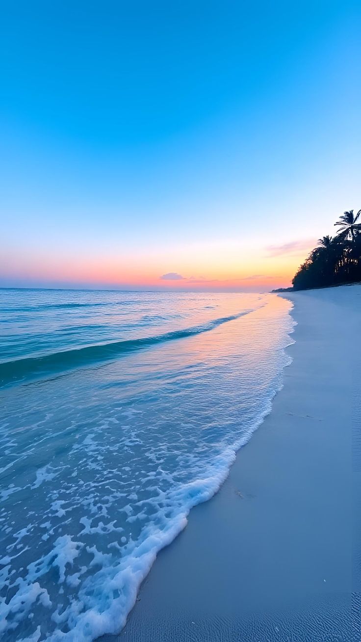 ���� ���� ������ �� ���� ������