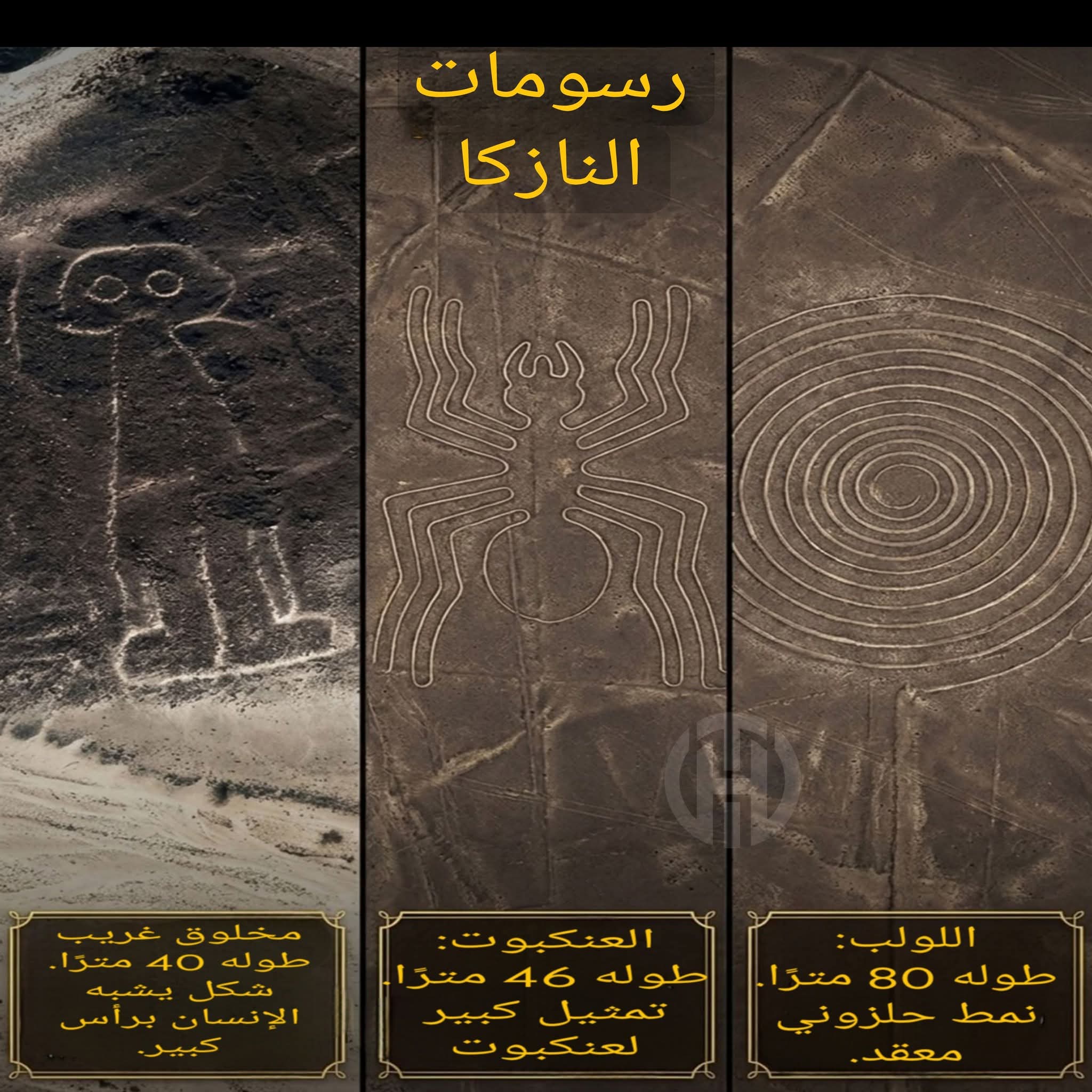 ���� ����� ����� �� ���� ������� ������� ����� �� ������. 