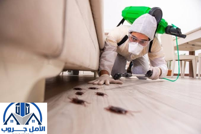 مكافحة النمل الابيض بالرياض 