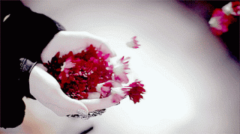 p_37704dqbz0.gif