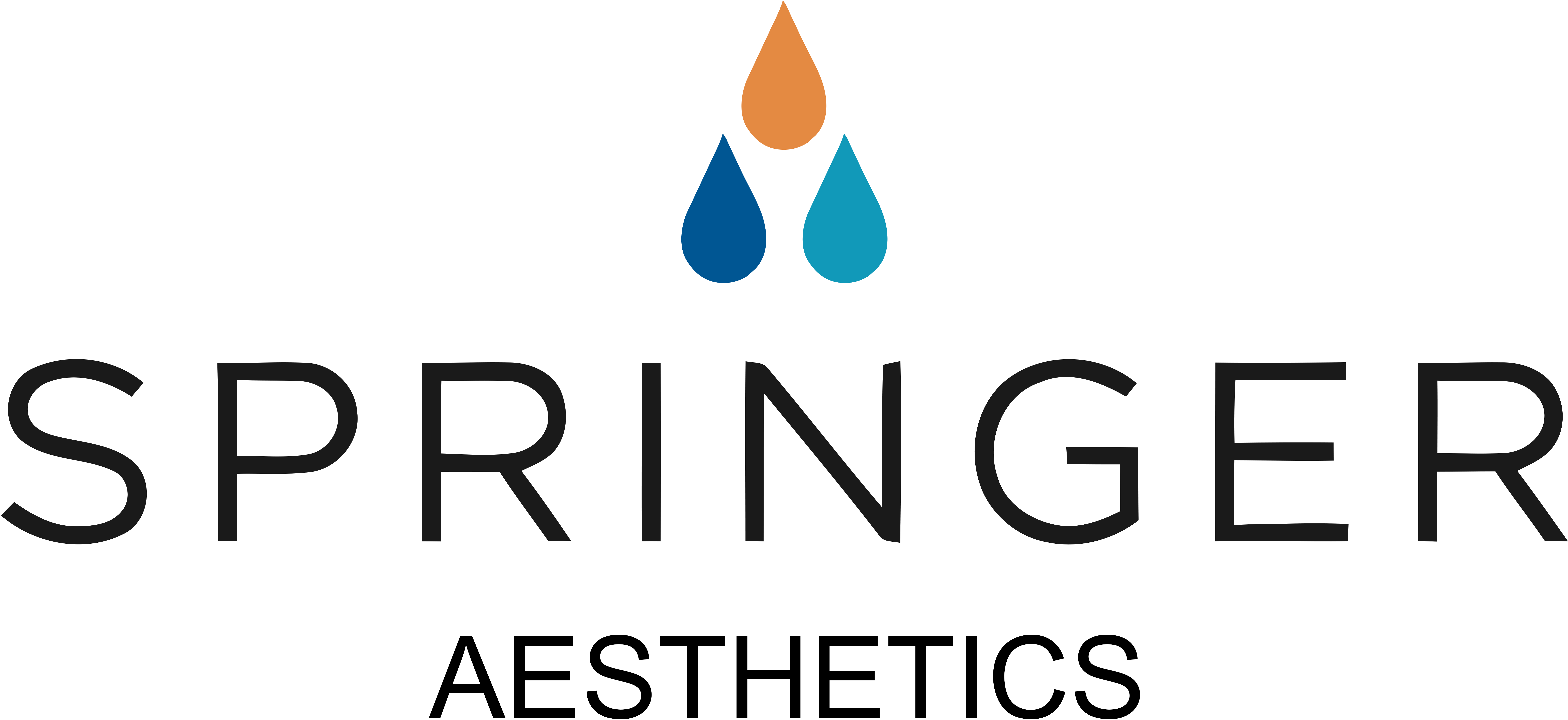 Springer Med Logo